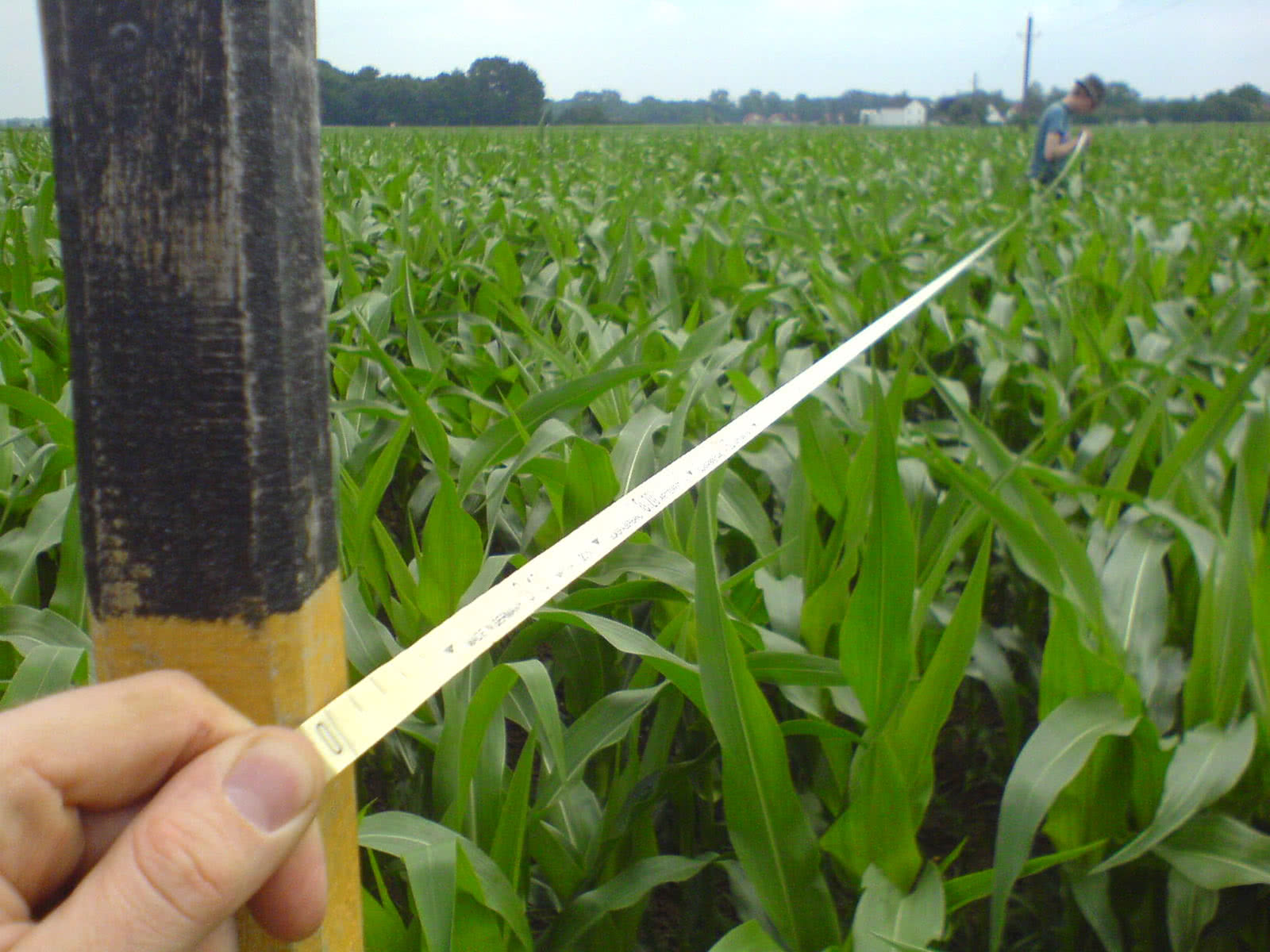 prearq_raumschnitt_006