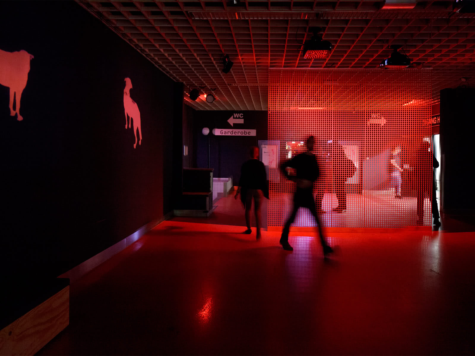 prearq_donaufestival_005